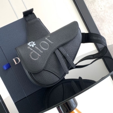 Dior Saddle Bags